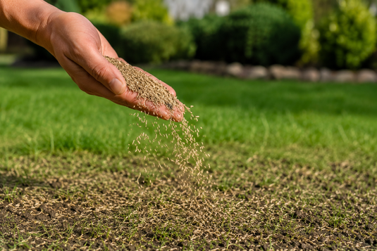 Grass Seed Collection...