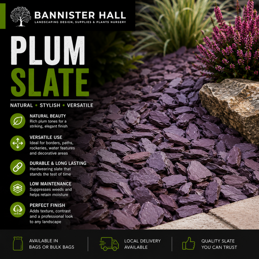 Plum Slate