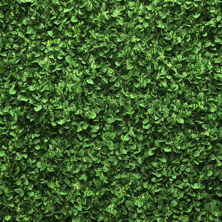 xBoxHedging2