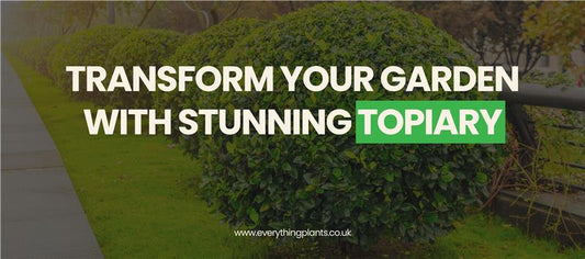 How Topiary Can Instantly Elevate Your Garden Design: Forms, Care Tips, and UK Styling Ideas Explained