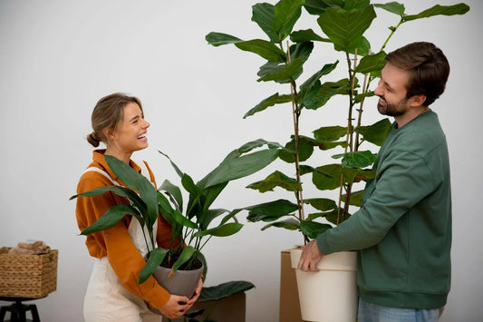 Big or Small? How to Choose the Perfect Plant Size for Instant Impact and Long-Term Growth