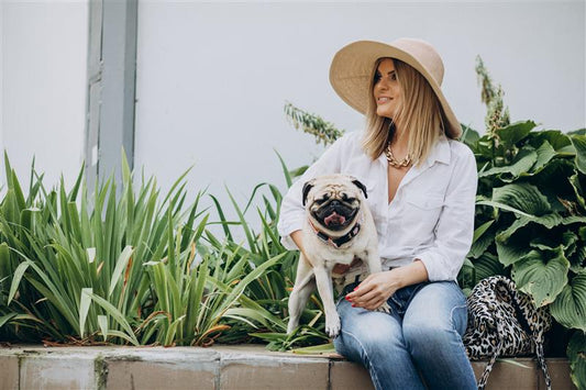 Green Without the Fuss: Low-Maintenance & Pet-Friendly Plants for Every Garden