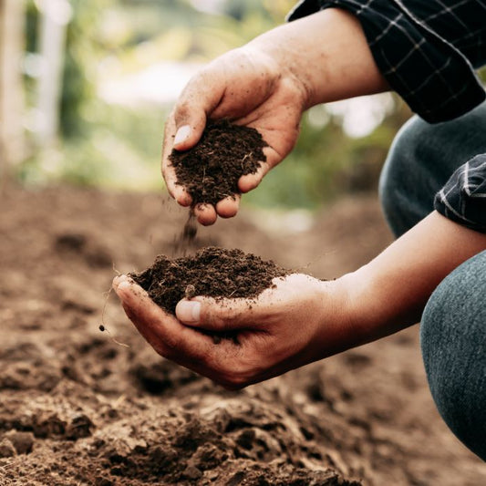 Topsoil & Compost Collection - Planting Mix, Top dressing, Ericaceous, Farm Yard Manure, Sea Weed, Multipurpose, Peat Free