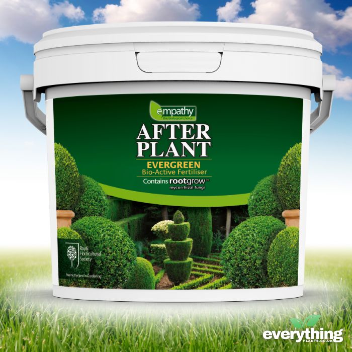 After Plant Biofertiliser for Evergreen Plants