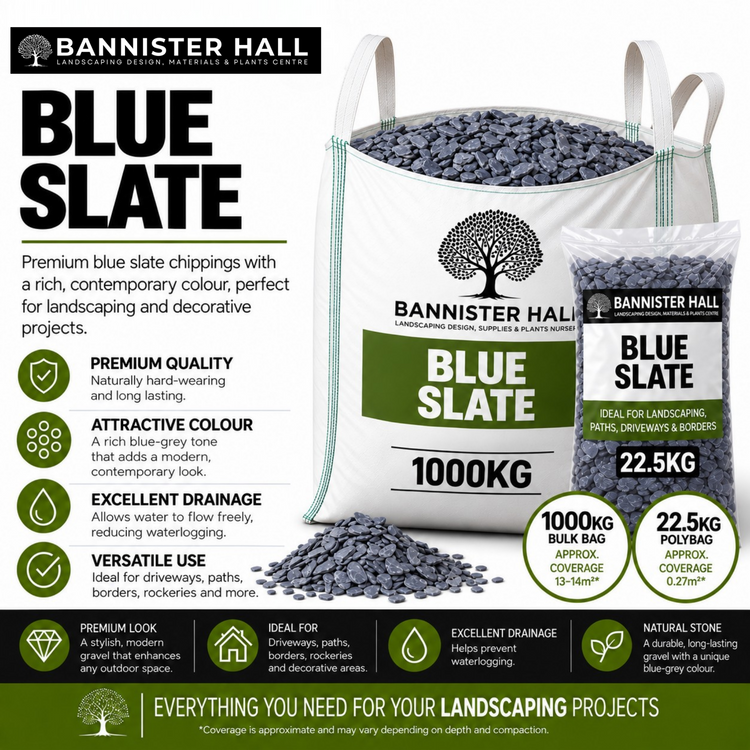 Blue Slate