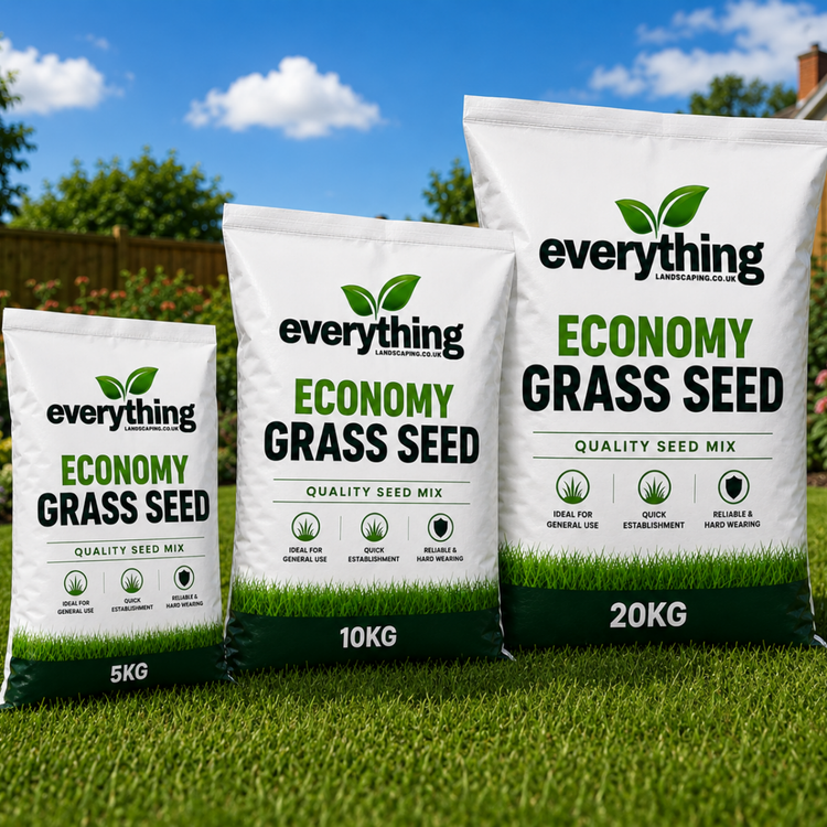 Economy Grass Seed