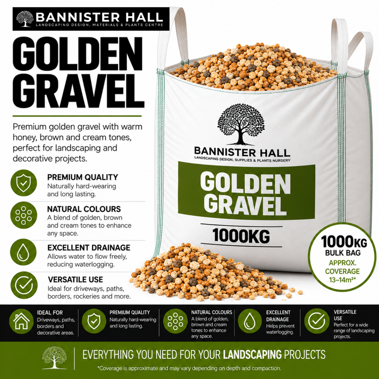 Golden Gravel