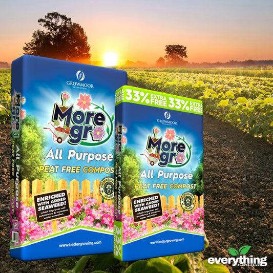 Peat Free All Purpose Compost