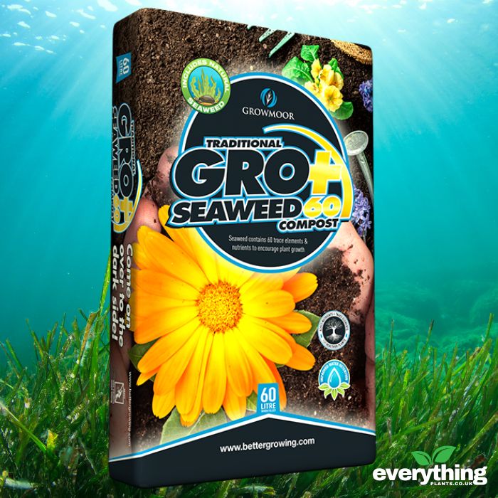 Seaweed Compost