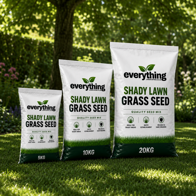 Shady Lawn Grass Seed