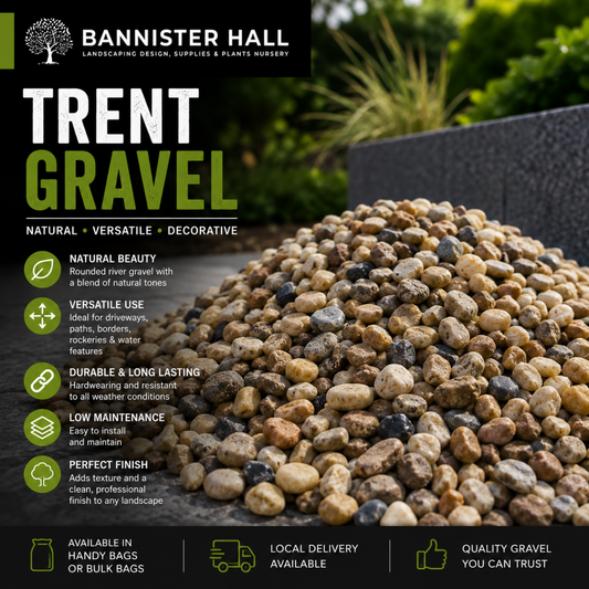 Trent Gravel