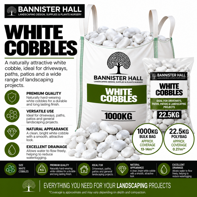 White Cobbles