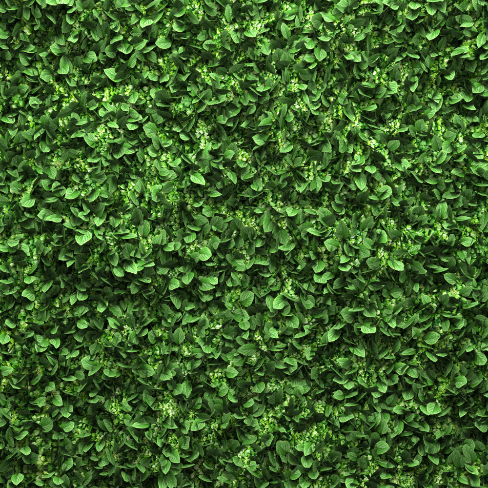 xBoxHedging2