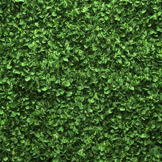 xBoxHedging2