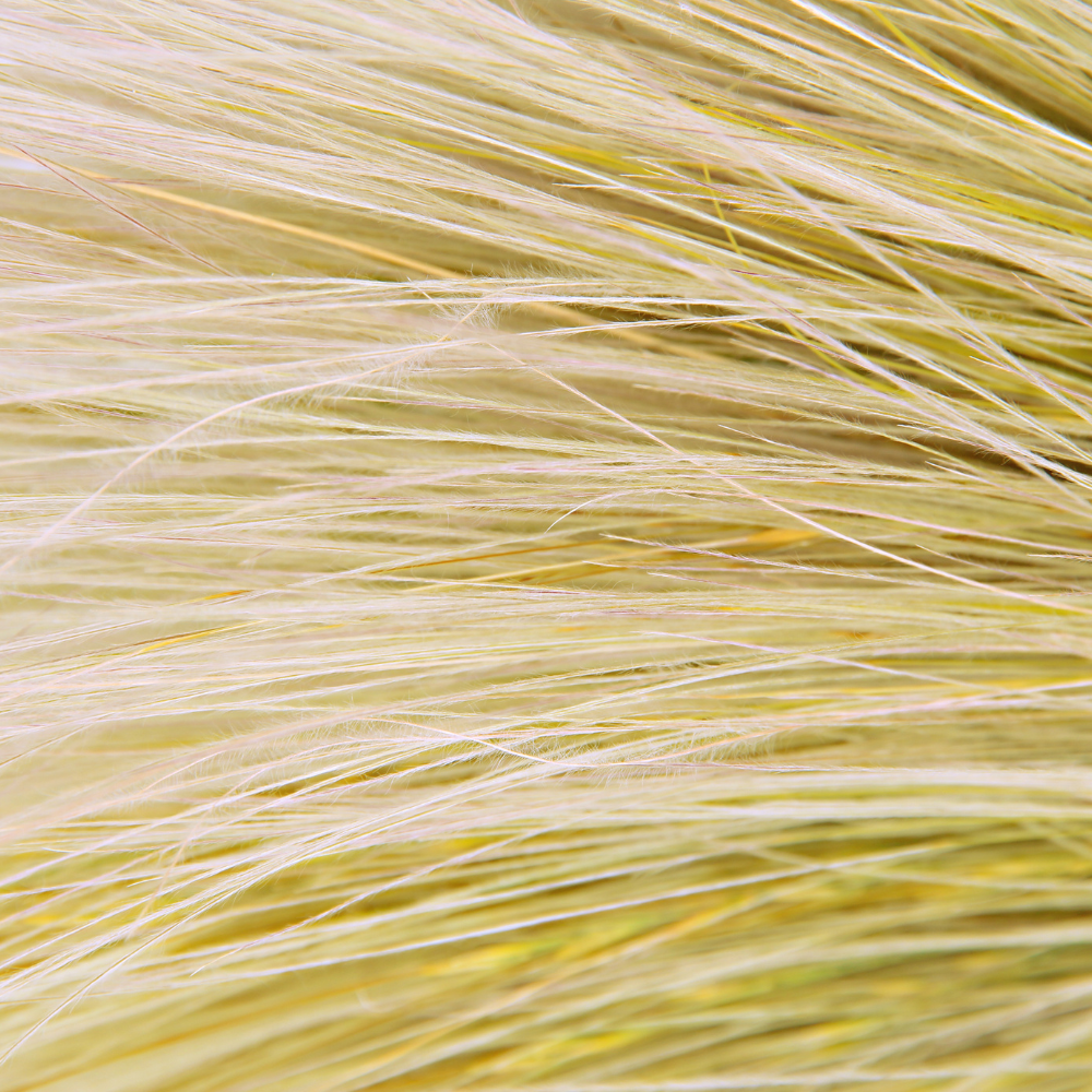 //www.everythinglandscaping.co.uk/cdn/shop/files/xGiantFeatherGrass1_edc2bf6c-ea90-4dbe-81bd-abead6740160.png?v=1770804613